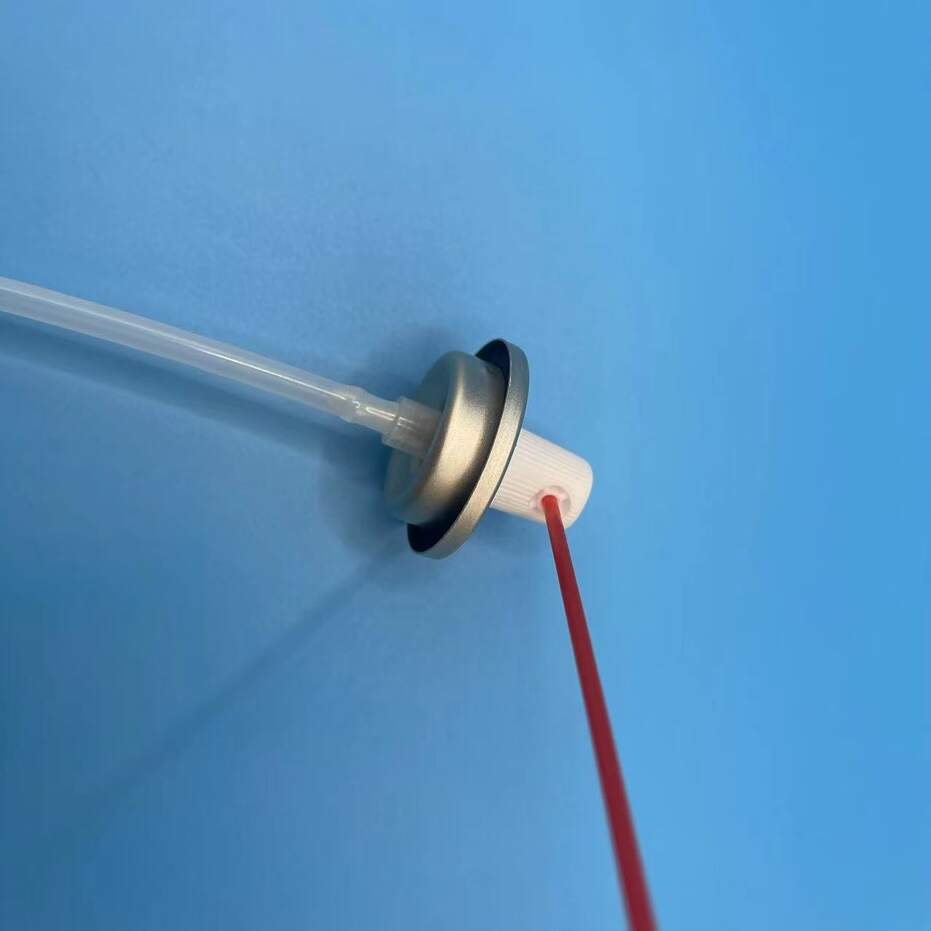 V&aacute;lvula de limpeza do carburador V&aacute;lvula de lubrificante WD40 (166)